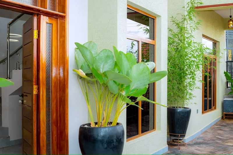 Wooden entrance doors beside large leafy plants in black pots